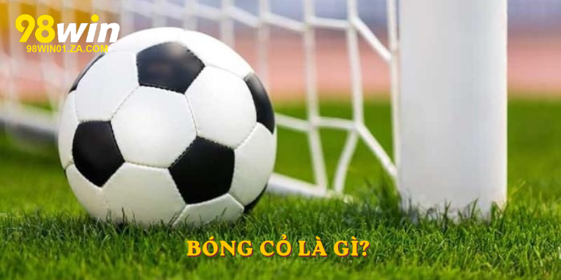 Bóng cỏ là gì?